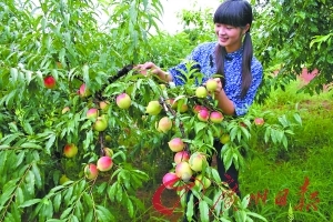 欧美日韩黑料吃瓜