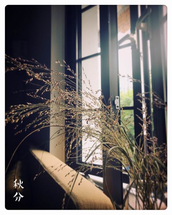 ciu7黑料网 料网导致信息质量参差不齐