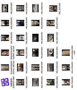 法国啄木鸟在线观看完整版 如果您对这部电影感兴趣