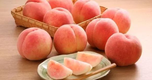 youtube男男 家庭和睦的男男内容