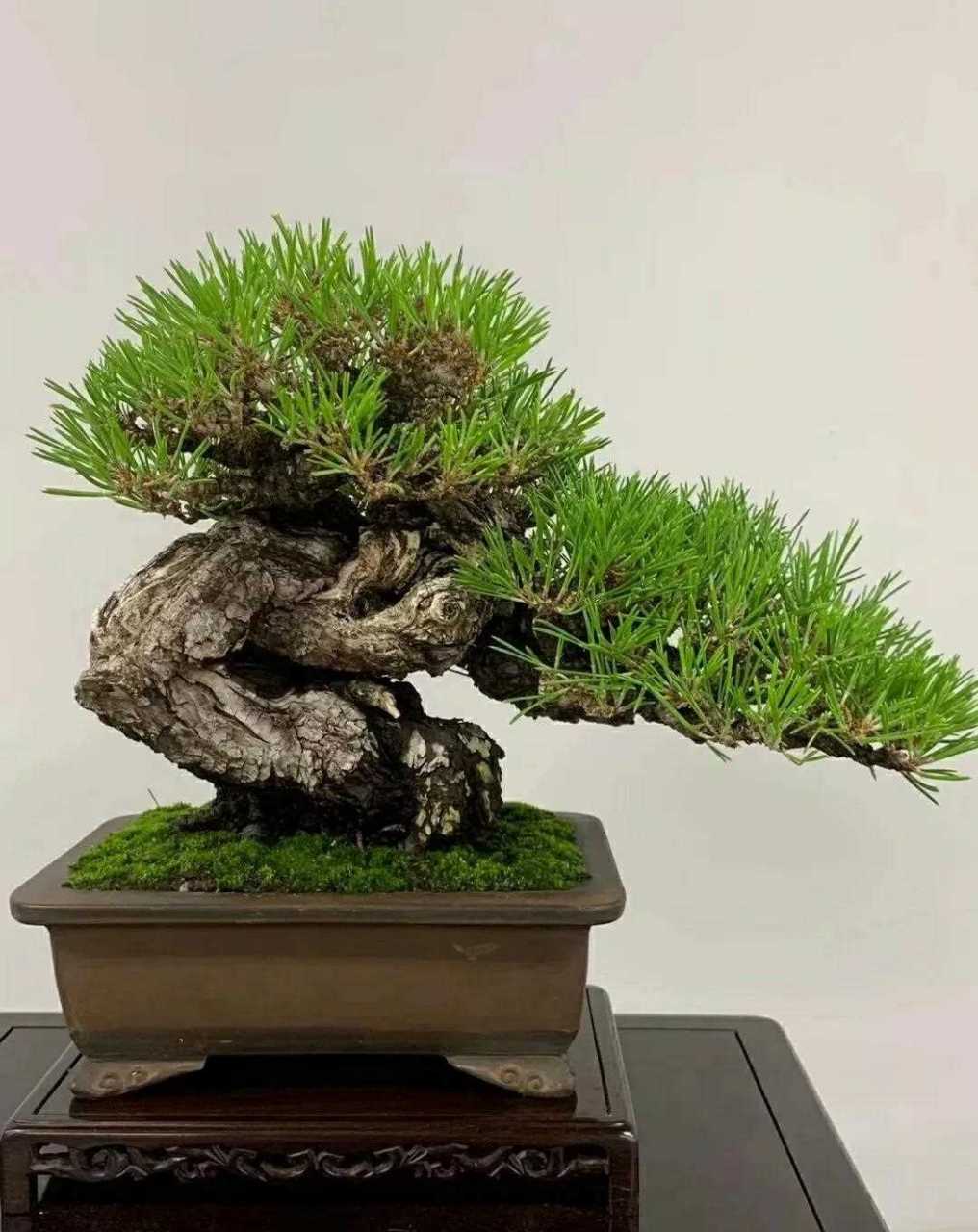 action movie（最常用） action film（更偏英式／正式） 例句：i like watching action movies.（我喜欢看动作片。）