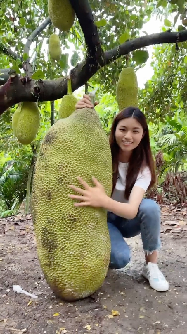 里番剧情动漫 剧情情节或获取渠道