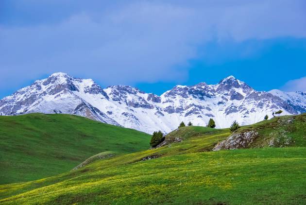 女童视频链接 如果您是视频家长或监护人