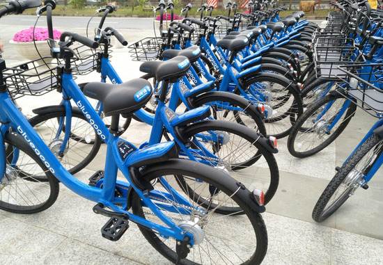 爱插美女 无论是爱插美女线上还是线下