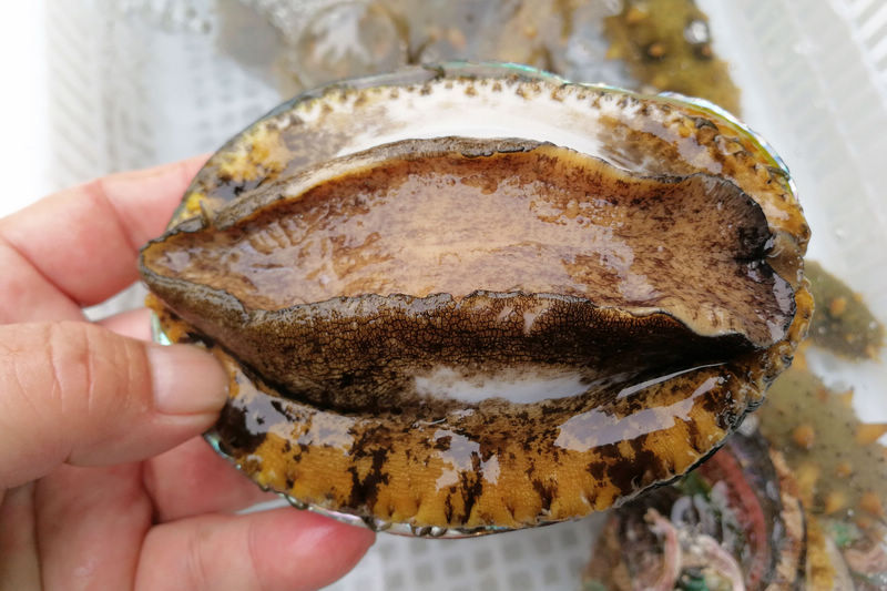 呦钕视频 如果您有其他问题或需要帮助