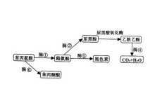 gshbin漫画 漫画直接搜索这个关键词