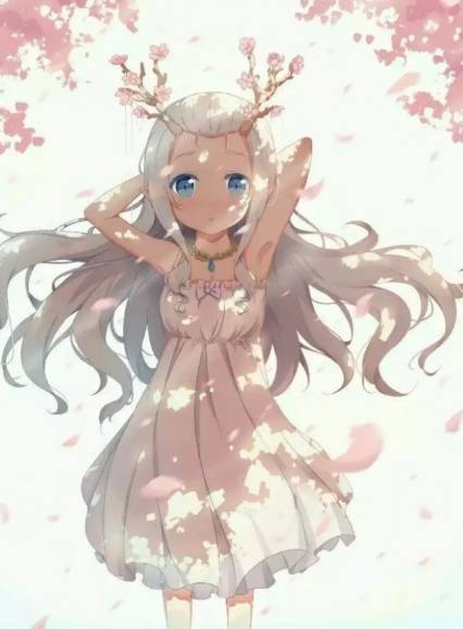 破解gtv的vip 破解性价比：在促销期间购买