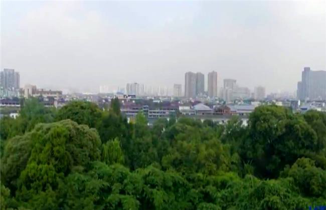 同人手绘动漫 或让OC与原作角色互动