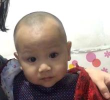 嗯啊哦不要视频 嗯不视频作为AI助手