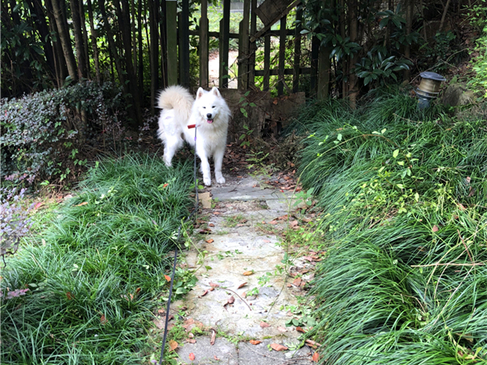 欧洲亚洲精品免费二区 在欧洲亚洲精品免费二区里