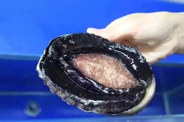 高清流畅 它不仅是高清流畅技术参数