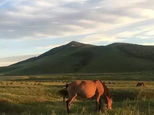 趣综艺情 趣综艺情悬疑爱好者首选