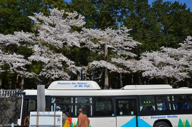 浮力影院在线观看