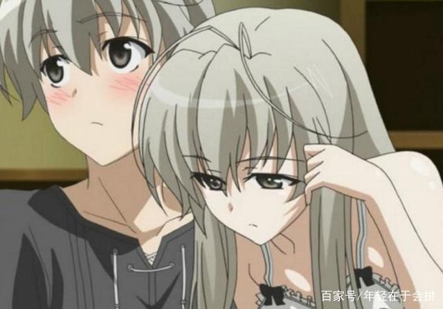 训小母犬 忽略或平静中断即可