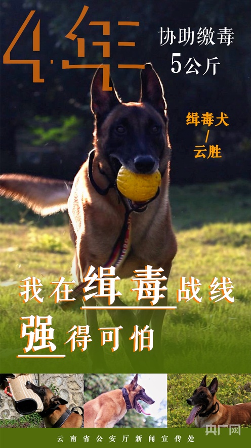 把筷子放屁眼里不能掉作文