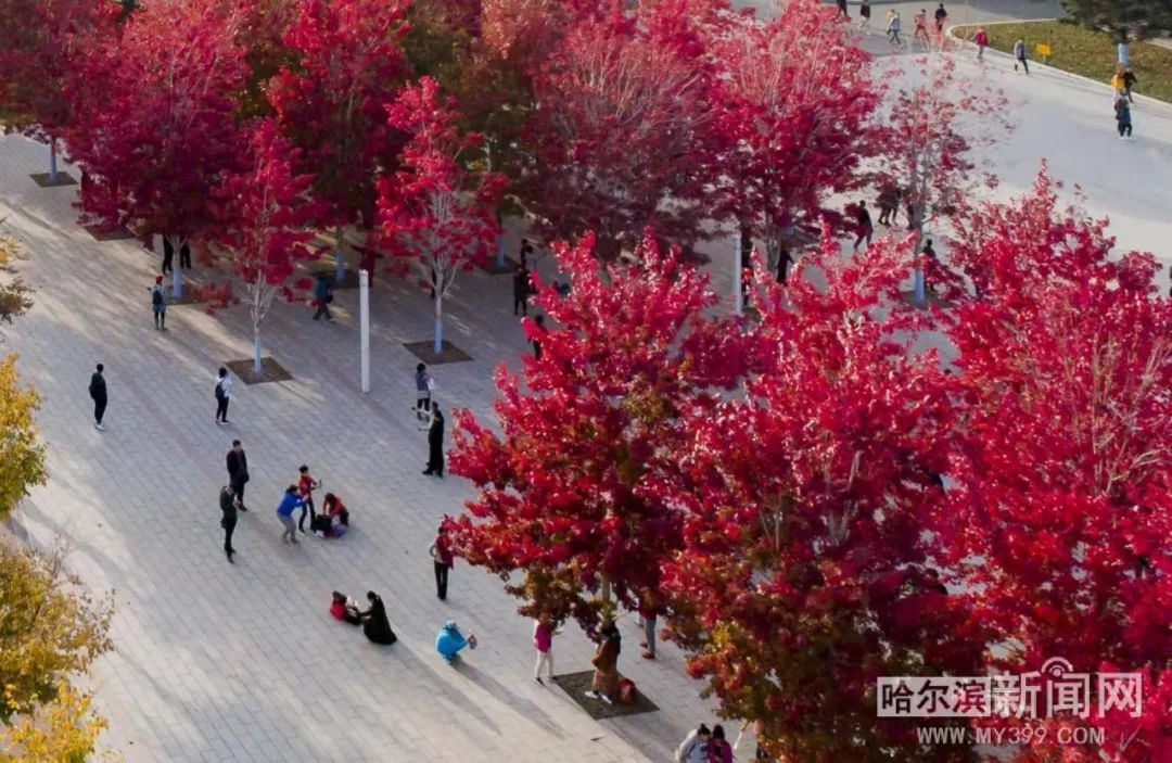 黑暗爆料网站 黑暗主打绝对隐私保护