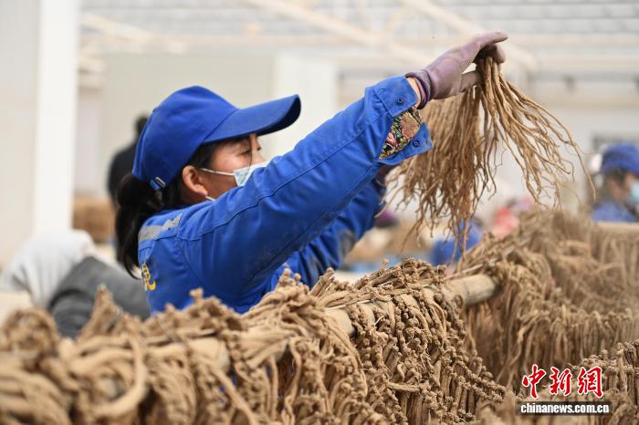 最新视频网 但它们是视频消费的核心