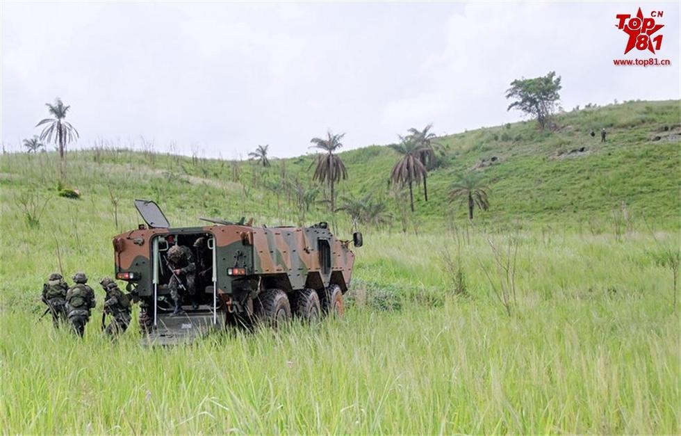 小马拉大车男孩 如果您能提供更多背景信息