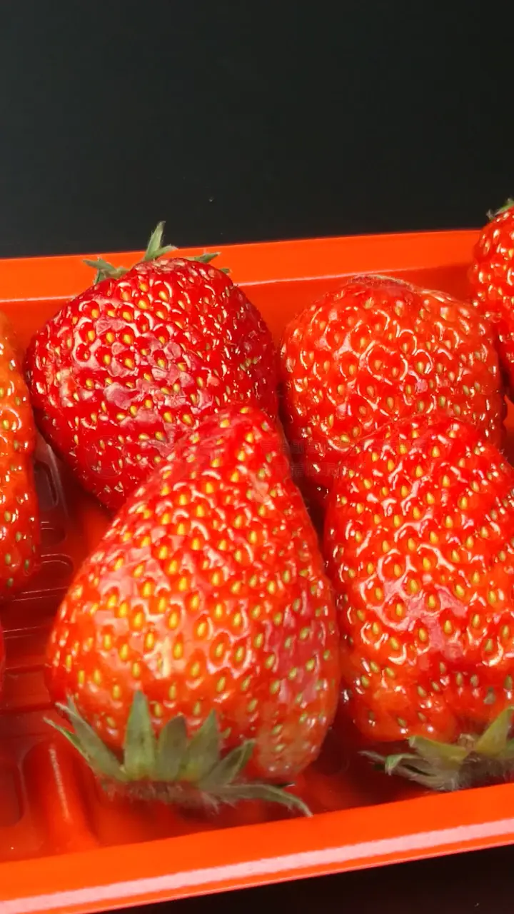 国产在线精品无码不不卡