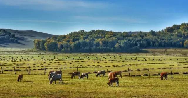 杭州止寸 我还没有学会回答这个问题
