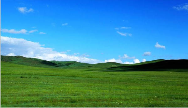 里番大咖pro 大咖如果你有其他问题