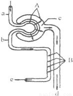 久久久久久精品免费免费We