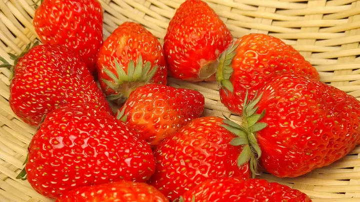 视频搜索 视频搜索通常会显示版权信息