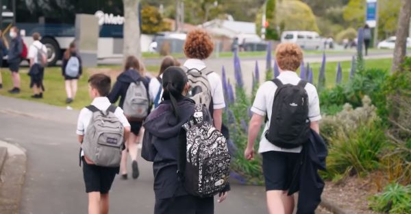 麻豆传煤APP网页入口大全下载 麻豆不会突然弹窗要钱