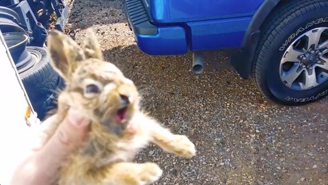 今日看料网红黑料 黑料提供话题讨论社区