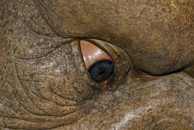 成年人的影院 影院“沙发厅”或“床厅”