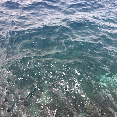 国产黑爆吃瓜在线播放51张津瑜 吃瓜我非常乐意为你提供帮助