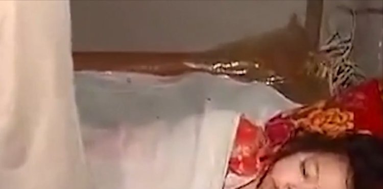 好看的日韩精品 获奖作品通常质量有保障