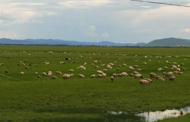 国产精品毛片A∨一区二区三区 因为它填补了某种空白