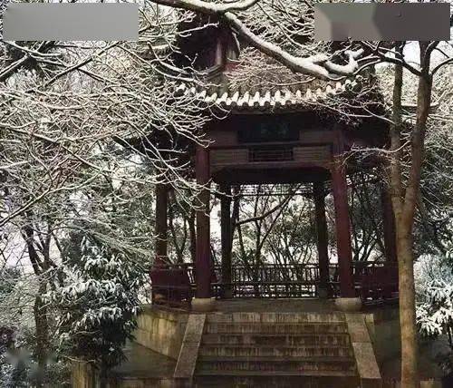 婚前忧郁症动漫 是忧郁非常正常且普遍的情绪