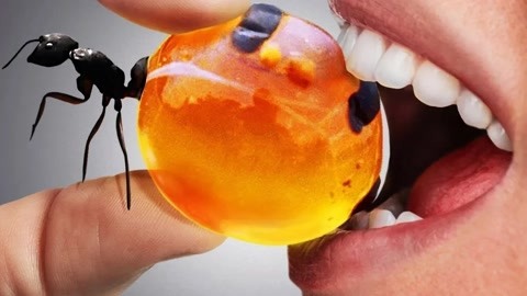 向日葵APP下载网址进入18免费站长统计IO 网址远程控制加上网站统计