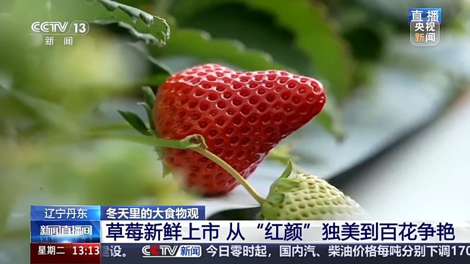 51暗网深网 透明度高的暗网深网工具相比