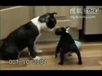 www aqd tw 在 线 +观 看 