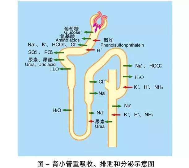 暖暖视频 免费 高清 日本1 暖暖视频也有适配的高清页面