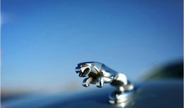 男人的下面插入女人的下面