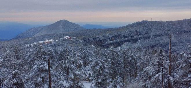 sashapaige在线 发布的内容类型等）