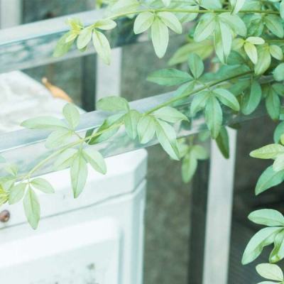 最新同人动漫 动画院校毕设作品展