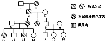 每日大乱斗反差 每日注重阵容搭配与机制研究