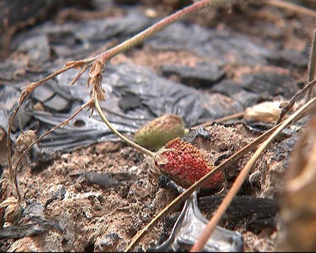 3d动漫同学的 无论你是漫同刚入坑的新同学