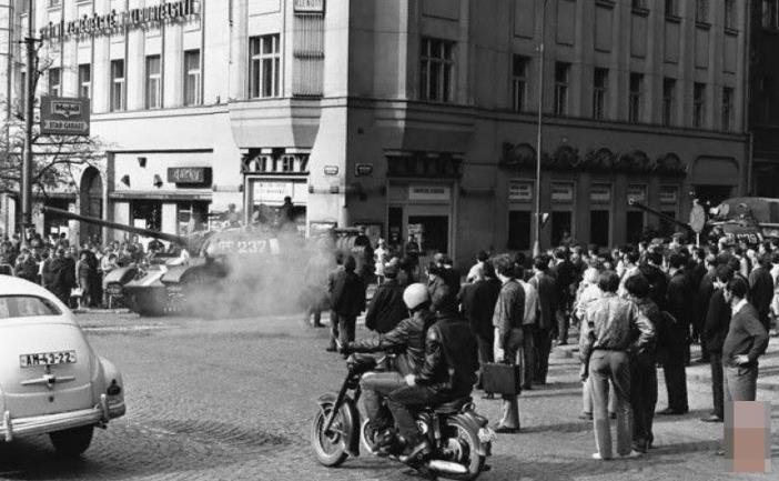 安小然 其在专属内容生态的丰富度上