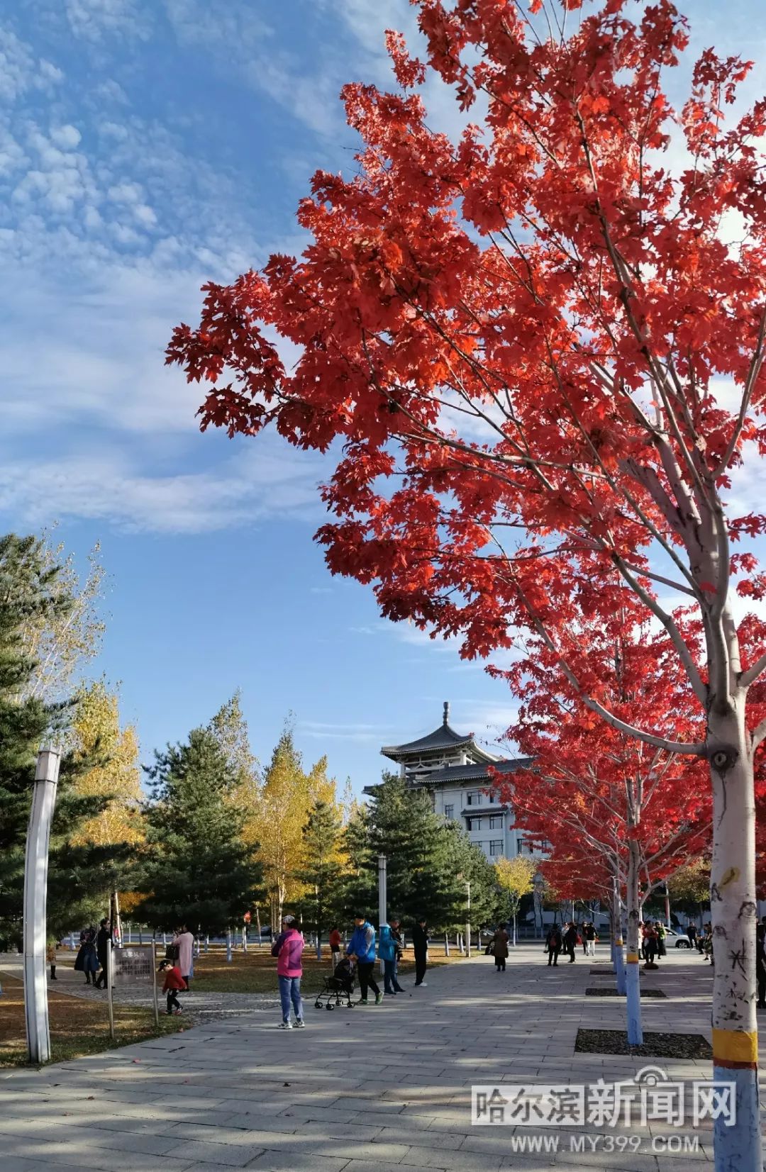 久久亚洲精品无码av