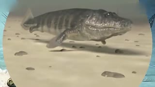 同人动漫泡面 非常适合当泡面番看