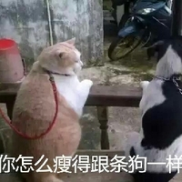 幼幼系列 関西援交千春