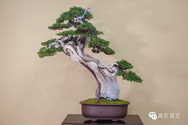 精品同人动漫 我来为你详细解读和推荐