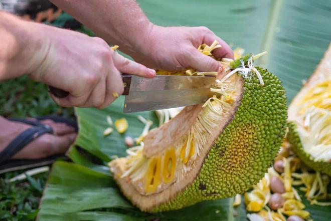 里番动漫大神 动漫大神作为AI助手