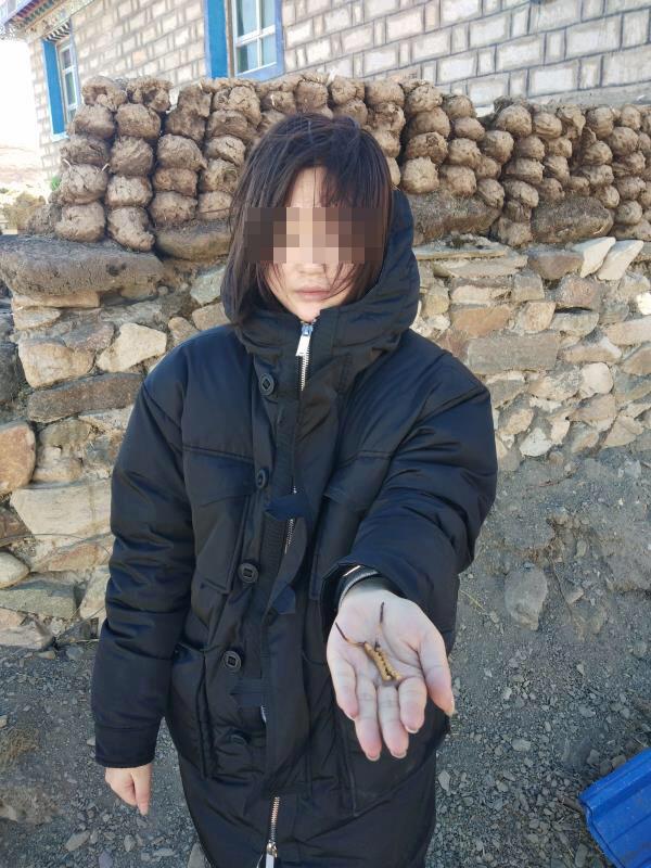 国产精品一区第二页